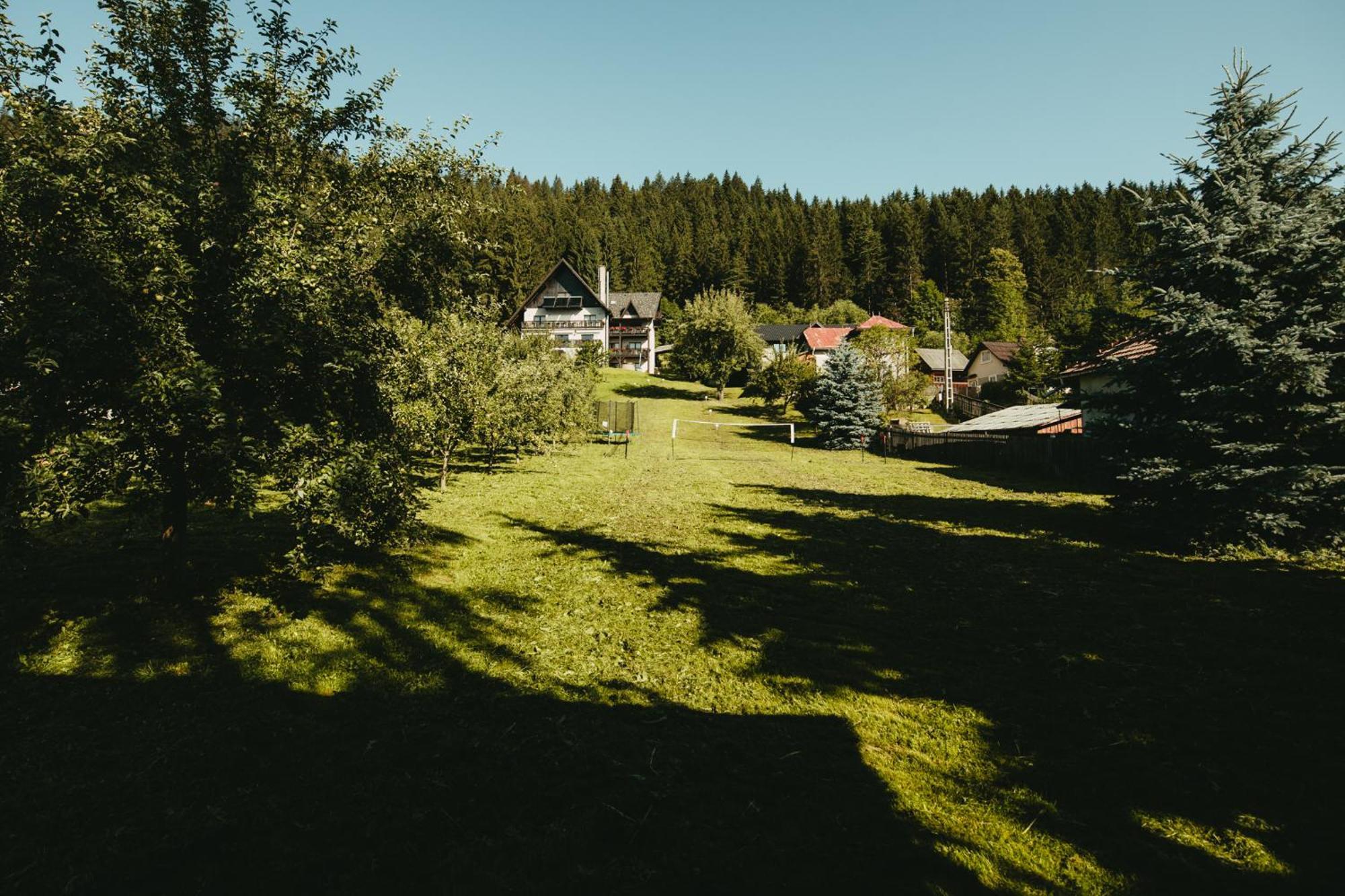 Bucovina Lodge Pension Vama  Luaran gambar