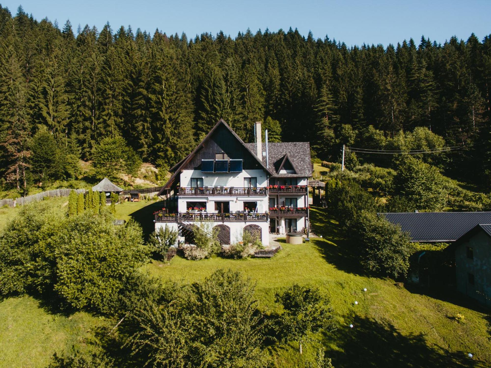 Bucovina Lodge Pension Vama  Luaran gambar